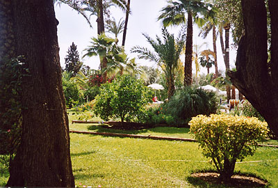 Verdure et qui�tude tout pr�s de la place Jemaa-El-Fna