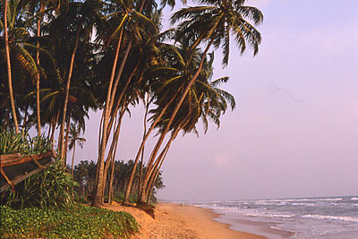 Farniente sur la plage