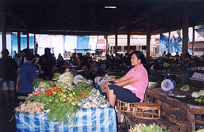 Phongsaly, le nord-est du Laos