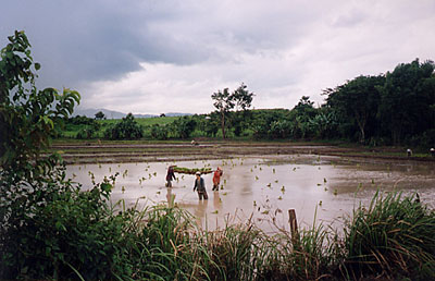 Histoire laotienne