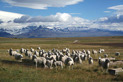 En Patagonie