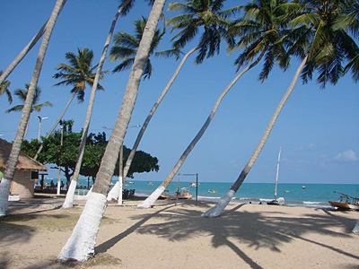 De Salvador � Recife : la route de l�enchantement durable