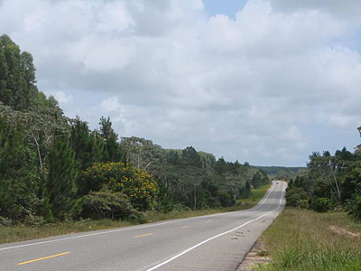 La Ligne verte (Linha Verde), grand rempart d�arbres