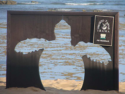 Les tortues de Praia do Forte