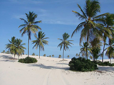 Mangue Seco, derni�res dunes avant le paradis