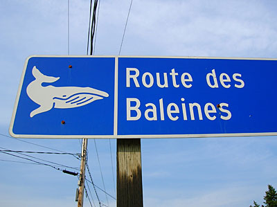Baie des b�lugas 