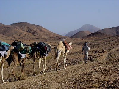 Hoggar, terre nomade