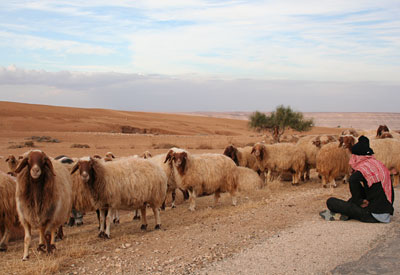 Mont Nebo et Kerak