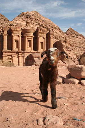 Petra