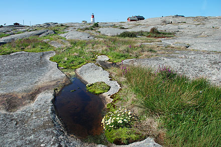 De Sm�gen � Fj�llbacka, pour Ingrid 