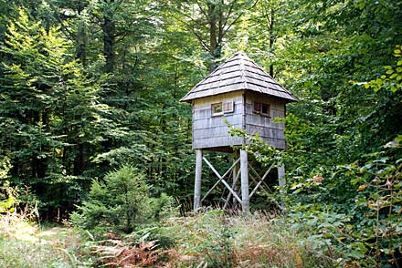 Au pays de l�ours, le Gorski Kotar