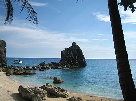 Plong�e � Apo Island