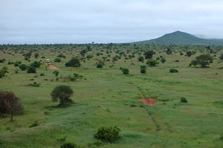 Amboseli : au pied du Kilimandjaro, le pays des Massa�