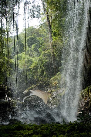 Balades et treks au Ratanakiri