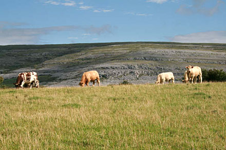 L�Irlande � v�lo : du Connemara au Ring of Kerry