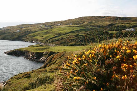 D�licieux Connemara