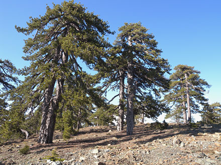 Autour du mont Olympe 