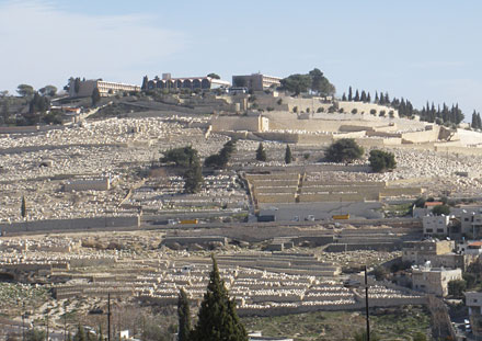 Isra�l et les Territoires palestiniens : terre sainte, terre extr�me