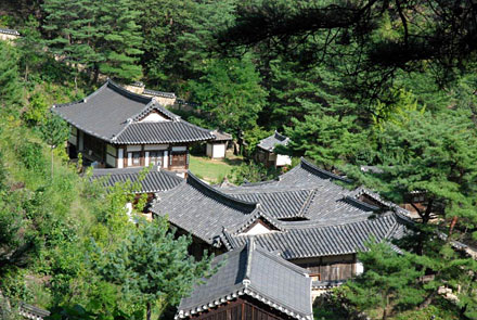 Andong, la pause nature 