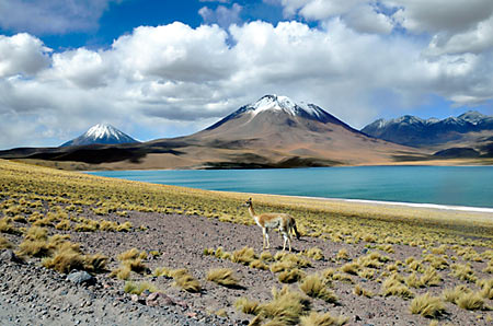 Nord du Chili : du Pacifique au d�sert d'Atacama