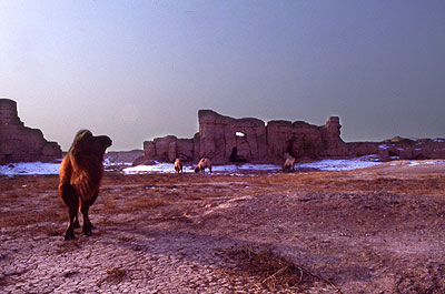 Xinjiang, voyage au pays ou�ghour