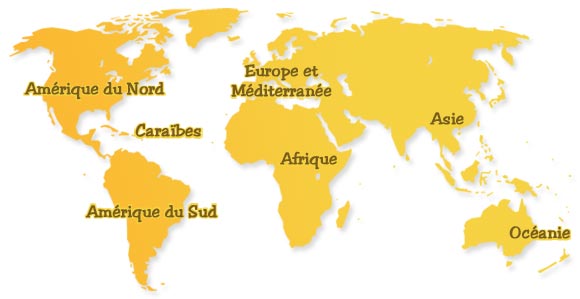 Les plus belles plages du monde