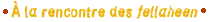 A la rencontre des fellaheen