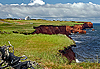 Iles de La Madeleine, Qu�bec � Maurice Frappier