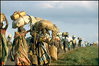 � UNHCR/R.Chalasani. Source : www.unhcr.fr