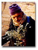 Dans le désert libyque© Edmond Diemer