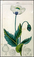 � Mus�e du Fumeur