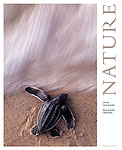 Nature - Olivier Grunewald et Bernadette Gilbertas