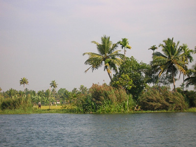 Kerala, au fil de l�eau