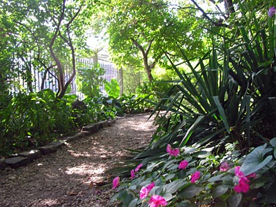 Manhattan, c�t� jardin