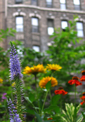 Des d�combres aux fleurs