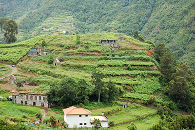 Sur la route de la corniche et les � levadas �, sur la c�te nord