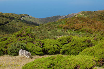 Le plateau Paul da Serra, un air d��cosse ou de Corse ?