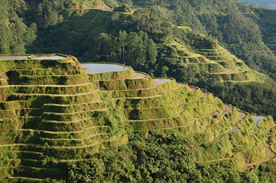 Philippines : trek dans les rizi�res de Banaue