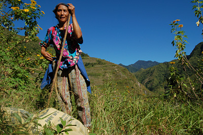 Sur les sentiers escarp�s, au milieu des rizi�res
