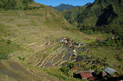 Batad et Cambulo, des villages dans les rizi�res
