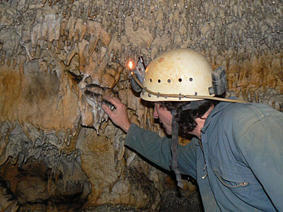 Dans l�ombre de Cro-Magnon