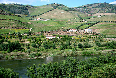 La saga du Porto