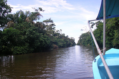 Tortuguero, l�Amazonie du Costa Rica