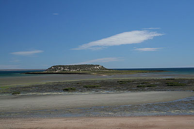 P�ninsule Vald�s : au pays des baleines et des manchots