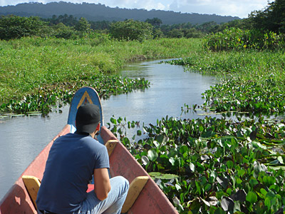 En pirogue dans la crique Gabriel