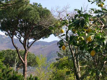 Jardins m�diterran�ens et villages de p�cheurs