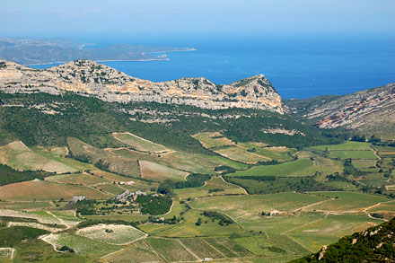 Sur les hauteurs de Patrimonio