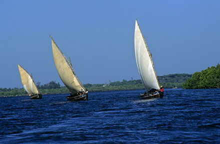 Une voile � l'horizon