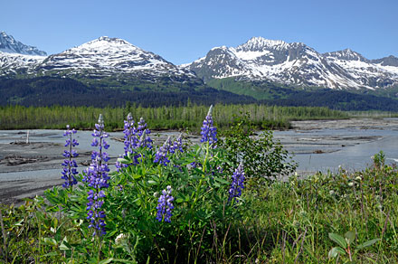 Alaska, la derni�re fronti�re