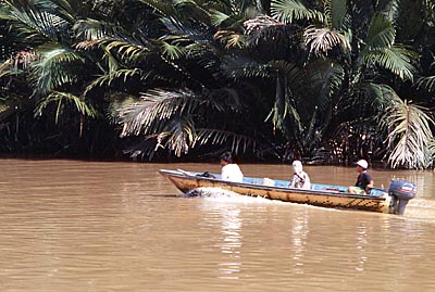 Excursion fluviale � Temburong